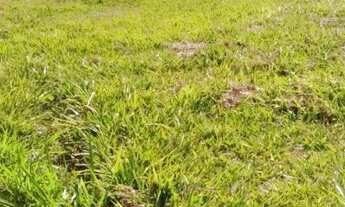 Imagem 3: Terreno em Condomínio para Venda em Sorocaba, Jardim Ibiti do Paço