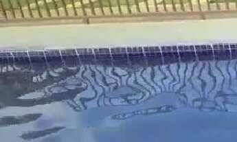 Imagem 2: Alugo apartamento de 2 quartos - com lazer