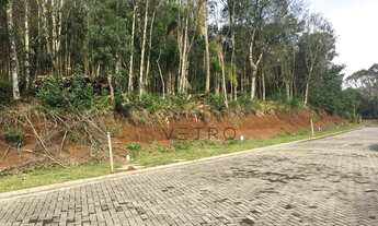 Imagem 2: Terreno no Loteamento Terras Altas em Gramado!