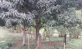 Imagem 3: MATIAS BARBOSA - Terreno Padrão - Centro