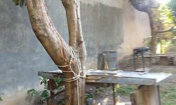 Imagem 7: TERRENO PARA INVESTIDOR ACEITA INCORPORAÇAO