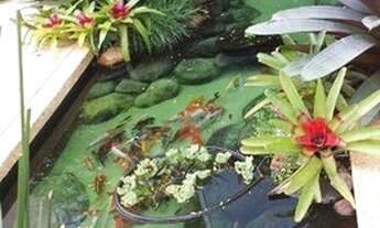 Imagem 5: Perfeito e alto padrão