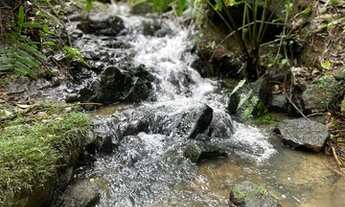 Imagem 15: Terreno para agricultura com 60.500m² ou 2,5 alqueires