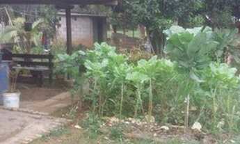 Imagem 3: Chácara com 1 dormitório à venda, 2000 m² por R$ 230.000 - Chapeu Duvas - Juiz de Fora/MG