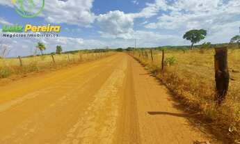 Imagem 11: FAZENDA À VENDA NO VALE DO ARAGUAIA - TO - 1.462 HECTARES (DUPLA APTIDÃO