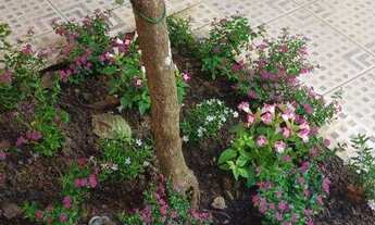 Imagem 7: Casa à venda, 180 m² por R$ 372.000,00 - Parque Jaraguá - Taubaté/SP