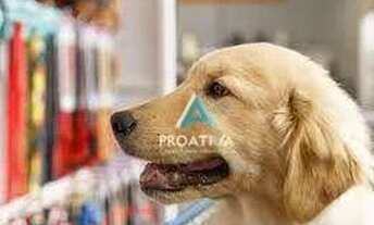 Imagem 3: Ponto à venda, 190 m² - Assunção- São Bernardo do Campo/SP