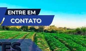 Imagem: Estamos com Lotes Incríveis!