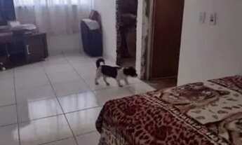 Imagem 4: Vende-se Duplex em Ribeirão das Neves - MG