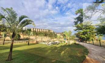 Imagem 4: Lançamento no que há de melhor no João Paulo!