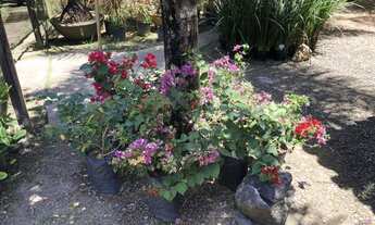 Imagem 3: Área para Venda em Camaçari, Camaçari