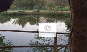 Imagem 4: Terreno à venda, 280 m² por R$ 150.000,00 - Chácara São Rafael - Campinas/SP