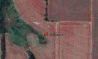 Imagem 7: Sítio à venda, 140000 m² por R$ 3.300.000,00 - Gleba Primavera - Ibiporã/PR