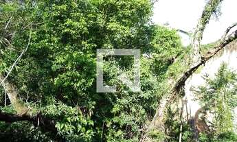 Imagem 7: Apartamento para Aluguel - Centro, 2 Quartos, 54 m2