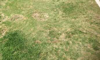 Imagem 7: Casa para Locação e Venda - Tamboré 3 - Alphaville - Santa de Parnaíba