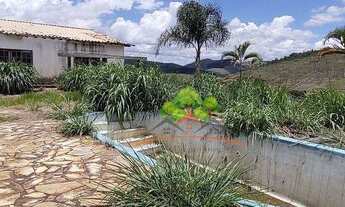 Imagem 7: Chácara à venda, 5300 m² por R$ 460.000,00 - Simão Pereira - Simão Pereira/MG