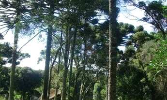 Imagem 4: Terreno no bairro Jardim das Fontes em Canela