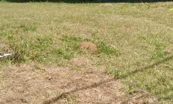 Imagem 2: Terreno em Condomínio para Venda em Sorocaba, Jardim Ibiti do Paço