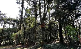 Imagem 2: Terreno no Residencial Pinheiro Grosso em Canela!