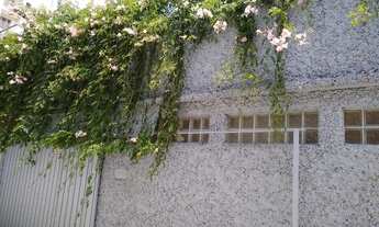 Imagem 6: CASA RESIDENCIAL em SÃO PAULO - SP, LIMÃO