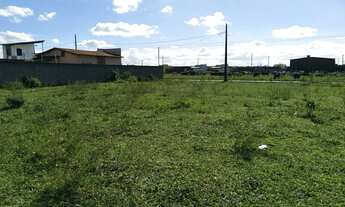 Imagem: Terreno em Tibiri no Loteamento Plano de