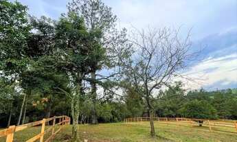 Imagem 3: LINDA CHÁCARA A 100 METROS DA RS020-PARCELO DIRETO