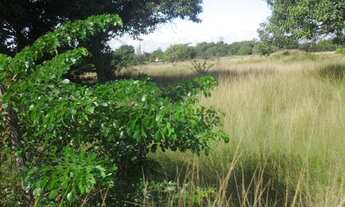 Imagem: Terreno residencial à venda, Campo Grande