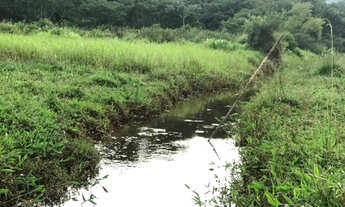 Imagem 6: 20k terreno perto da natureza