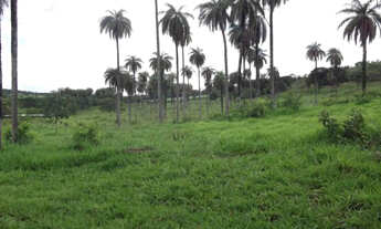 Imagem 5: Fazenda de 100 ha, a 500m² do asfalto/Jaboticatubas (Temos varias opções)