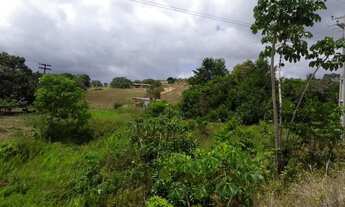 Imagem 2: Fazenda em Itaporanga D'Ajuda