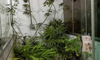 Imagem 3: Taguatinga - Casa Padrão - Taguatinga Norte (Taguatinga