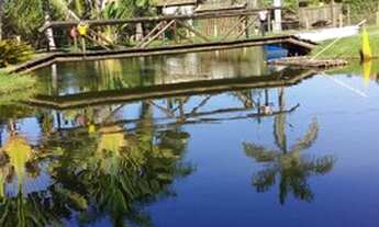 Imagem 6: Sítio 25.000m² em Marliéria, região de Timóteo