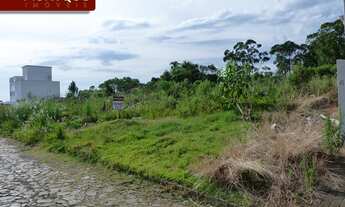 Imagem: Ivoti - Terreno Padrão - Concórdia