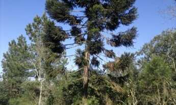 Imagem 3: Porto Alegre - Terreno Padrão - Aberta Dos Morros