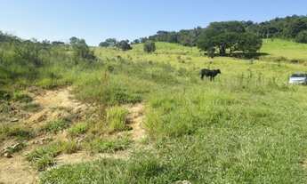 Imagem 4: Terreno 6 Hectares em Passa Tempo MG