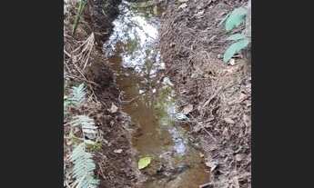 Imagem 5: Chácara 1700m², Escriturada, Tanque Água, Rego Dagua, Setor Vertentes, Aragoiania