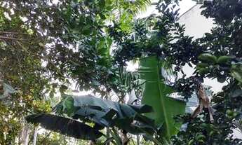 Imagem 6: Casa para aluguel tem 1200 metros quadrados com 3 quartos em Vargem Grande - Rio de Janeir