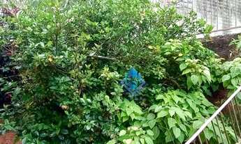 Imagem 4: Terreno 345m² com casa de 3 doms CENTRO SBC