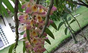 Imagem 7: Casa à venda, 115 m² por R$ 430.000,00 - Jardim Barra de Jangada - Peruíbe/SP