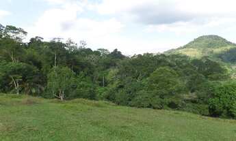 Imagem 5: Sítio para venda tem 60.670 m² com 7 quartos em Parada Modelo - Guapimirim - R.J: