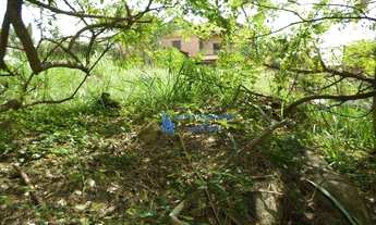 Imagem 4: Terreno à venda no Loteamento Caminhos de San Conrado