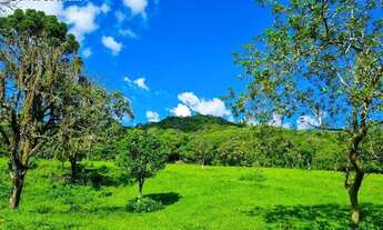 Imagem 5: Fazenda à venda, 2000000 m² por R$ 8.600.000,00 - Figueira Oca - Paulo Lopes/SC