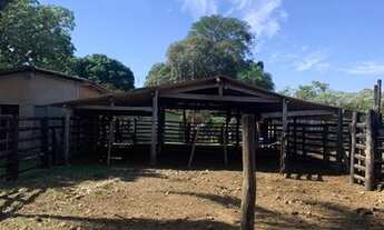 Imagem 2: FAZENDA À VENDA EM ROCHEDO - MS - 250 HECTARES (PECUÁRIA