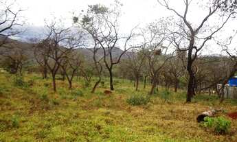 Imagem 4: Brumadinho - Loja de Shopping/Centro Comercial - Casa Branca