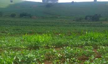 Imagem: Vendo sitios em Primeiro de Maio - PR