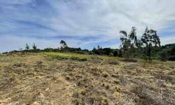 Imagem 2: TERRENO CONDOMÍNIO QUATRO BARRAS - PR