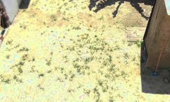 Imagem 3: Casa para venda com 140 metros quadrados com 3 quartos em Piratininga - Niterói - RJ