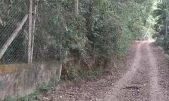 Imagem 3: Terreno para Venda em Mairiporã, Jardim Samambaia