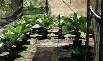 Imagem 6: Área para Venda em Camaçari, Camaçari