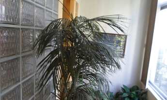 Imagem 3: Apartamento com 4 dormitórios à venda, 146 m² por R$ 820.000,00 - Boqueirão - Santos/SP